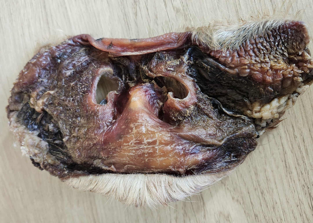 Moo Snoot (Hairy Cow Nose)