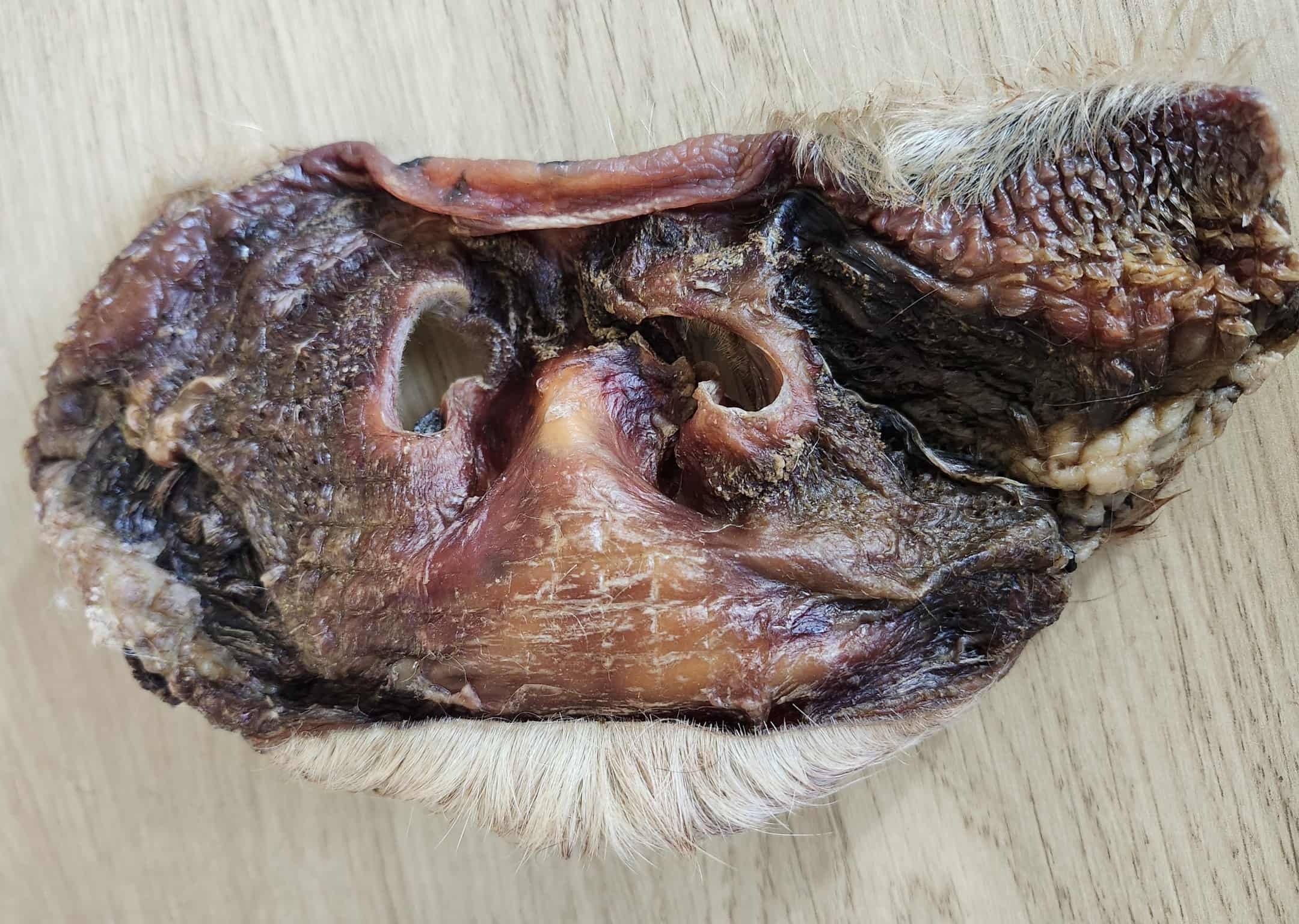 Moo Snoot (Hairy Cow Nose)