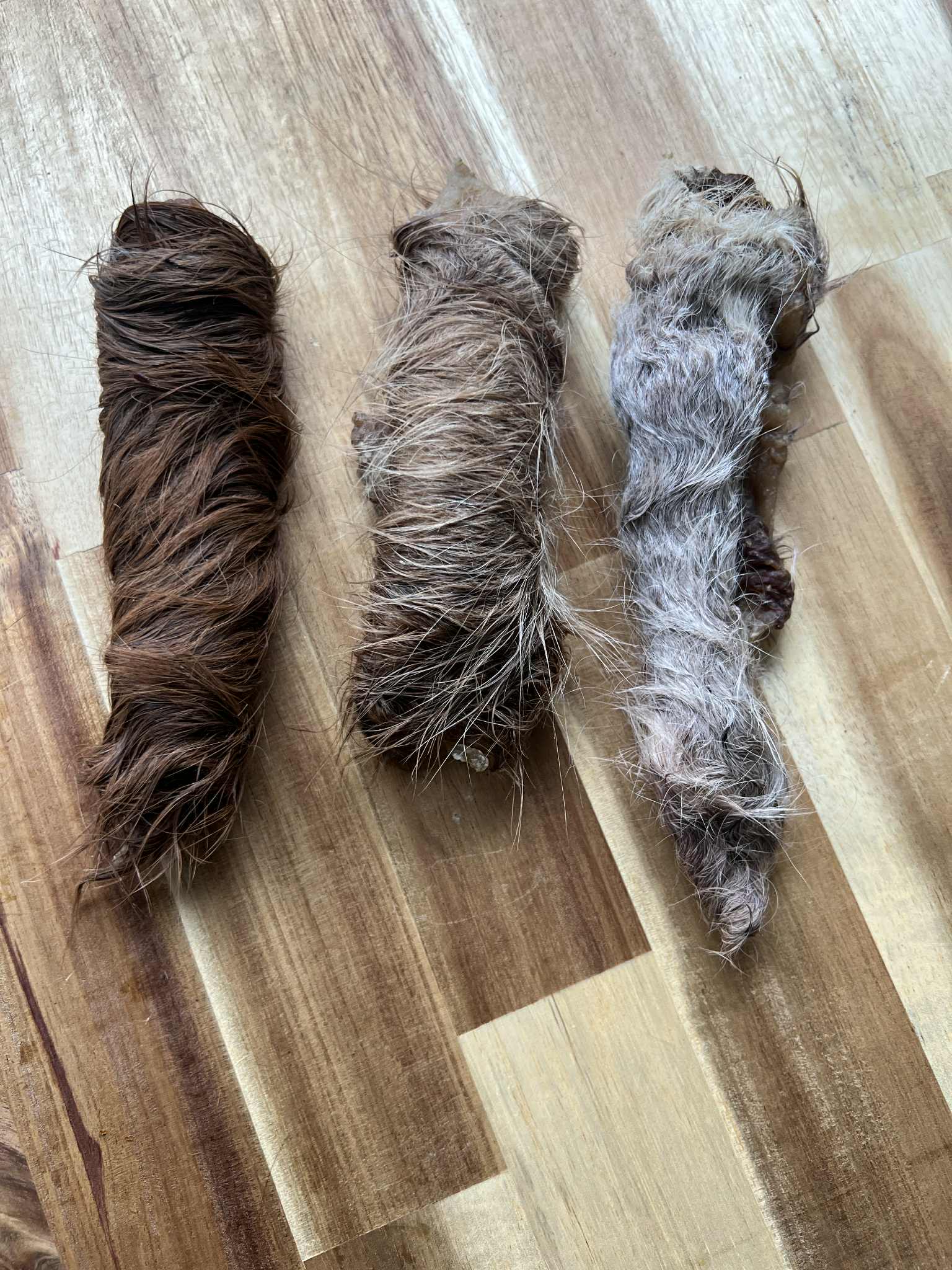 Dehydrated Hairy Cow Hide Dog Chew
