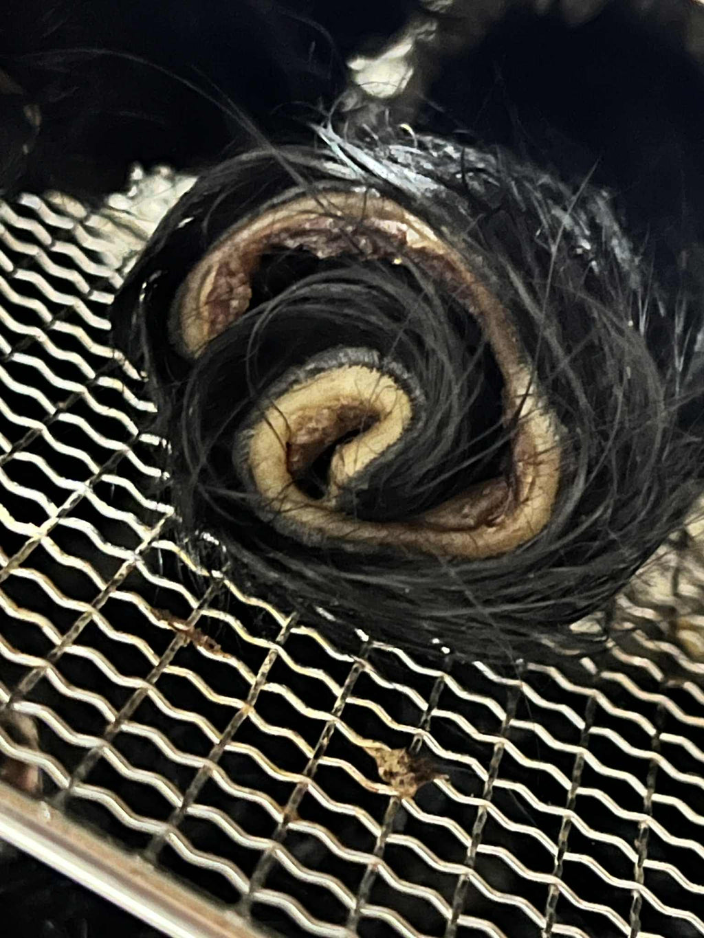 Dehydrated Hairy Cow Hide Dog Chew